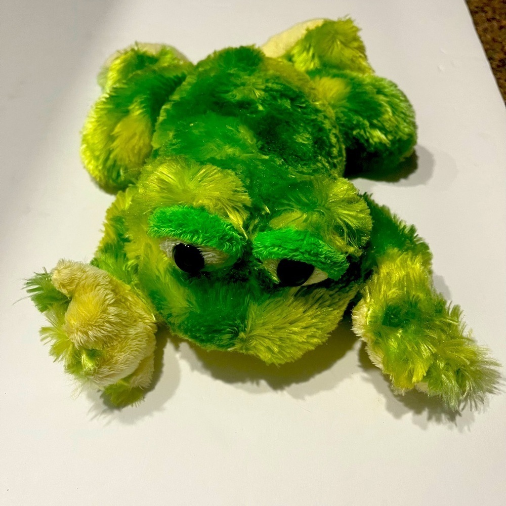 The Tie Dye Frog - by‎ Ganz